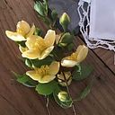 Rosenda Vergara Eumaña