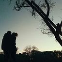 Palo Gutierrez Pérsico