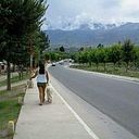 Tatiana Granado Guiñez