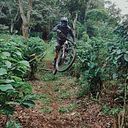 Mario Hidalgo Campos