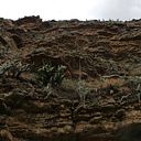 Jerónimo Arango Gómez