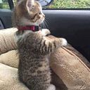 Luis Gaspar Velasquez