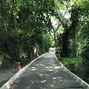 Elisa Alfaro Mercado