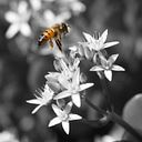 Alejandra Pers Trainer