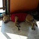 Aylin López Ramírez