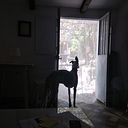 Pablo García Escobar