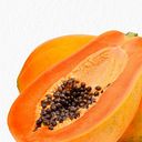 mezcal_mibuenasuerte