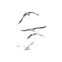 Марина Яценко