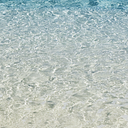 Arq. Fernando Rolando