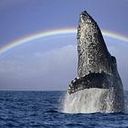 Kateřina Nováková