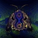 Maria Vittoria Milia