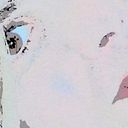 Heliodora Vettorazzo