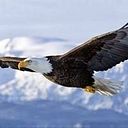 Jorge Luis Saldaña Fernandez