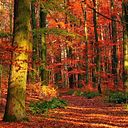 CATHERINE SANCHO PAMPA