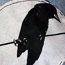 Ricardo Huenul Duamante