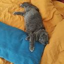 Esteban Peña Villagran