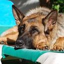 María del mar Díaz Gómez