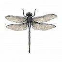 Laura Yesenia Garcia Chiquisa