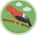 Maura Jurado Zevallos