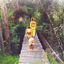 Paola Andrea Flórez Pérez