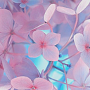 Natalia Henao Suárez