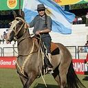 scastillo481