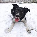 Jaime Cobo Castrillo