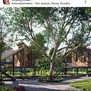 Williams Nuñez Inoa