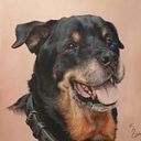 Sandra Núñez Castro