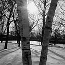 Maria José Castillo