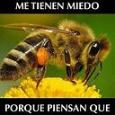 Carlos Villavicencio