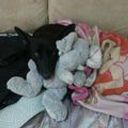 Cristian Mauricio Acosta Corredor