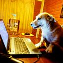 Francisco Javier Rivas Rosero