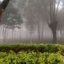 Maria Fernanda Espinel