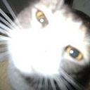 SuSan Arroyo DiMarco