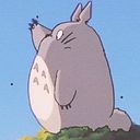 Enzo Luca Lima Medrado