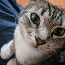 Rukmini Espinosa Díaz