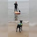 Cristian Jofré Guerra