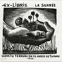Luis Roberto Pérez Martínez
