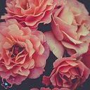 Yahimara Varas Codoceo