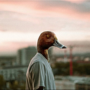 Luis Daniel Santos Bojórquez