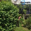 Danielle Medrjevetzki