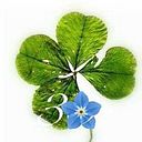 Dovilė Zacharkienė