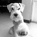 Marcela Mestre Márquez