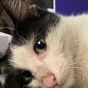 Kesley Felix Martínez