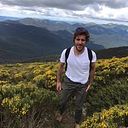 Toni Macarroni