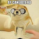 Natalia Arriaga Alegría