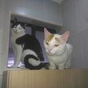 Carlos Alberto Zapata