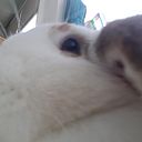 Antônia Maria Bonato