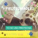 Karen Alcócer Valdez